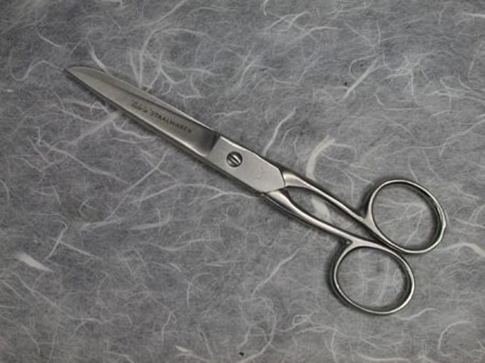 A.A.S schoolschaar gelijke ogen - school schaar 12,5 cm