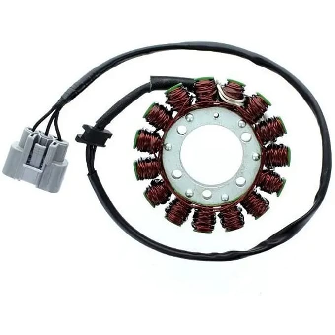 Originele aanpasbare motor dynamo Electrosport Kawasaki