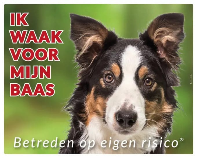 Border Collie Waakbord