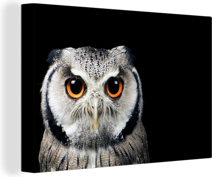 Canvas Schilderij Close-up uil - 30x20 cm - Wanddecoratie