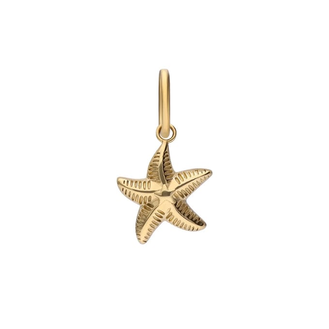Lucardi - Dames Stalen goldplated bedel zeester - Hanger - Staal - Goudkleurig