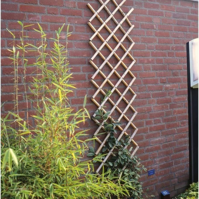 Nature - Bamboe klimrek (rekbaar) - 45cm x 1,8m - Naturel