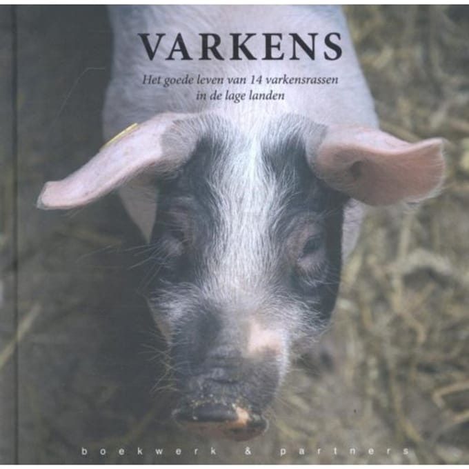 Varkens - Jinke Hesterman
