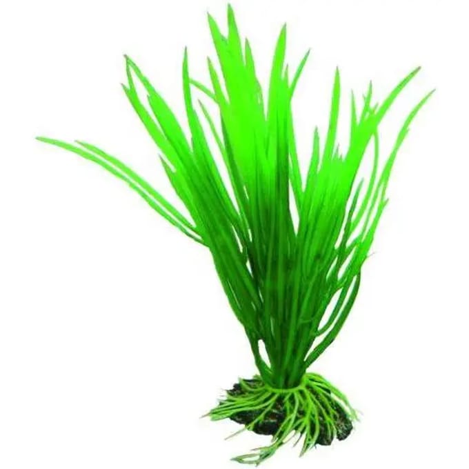 Aquarium accessoires Hobby Cyperus