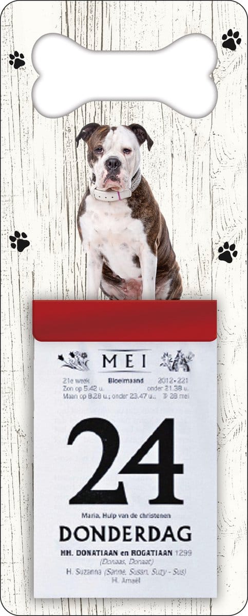 Scheurkalender 2027 Hond: Amerikaanse Buldog