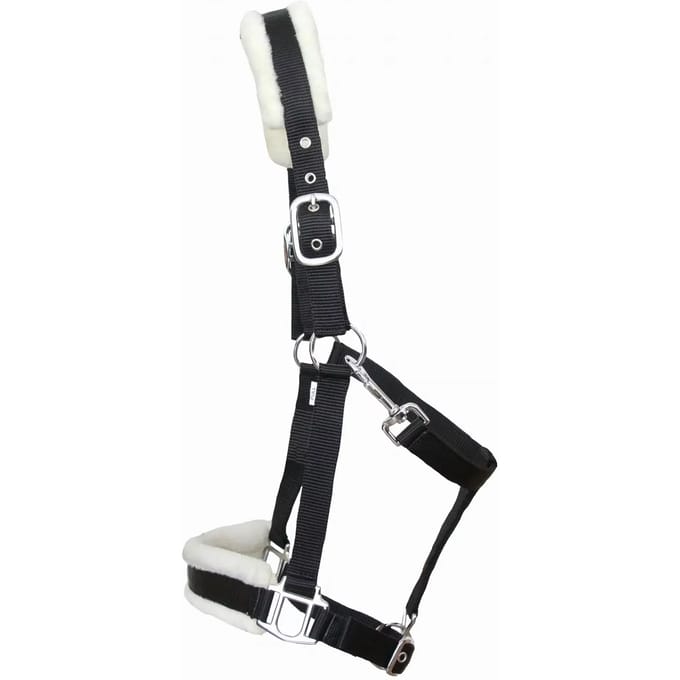 Schofelt voor paard T de T