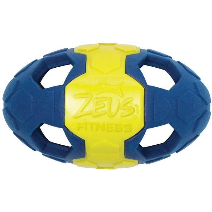 Hondenbal Zeus Fitness Fetch
