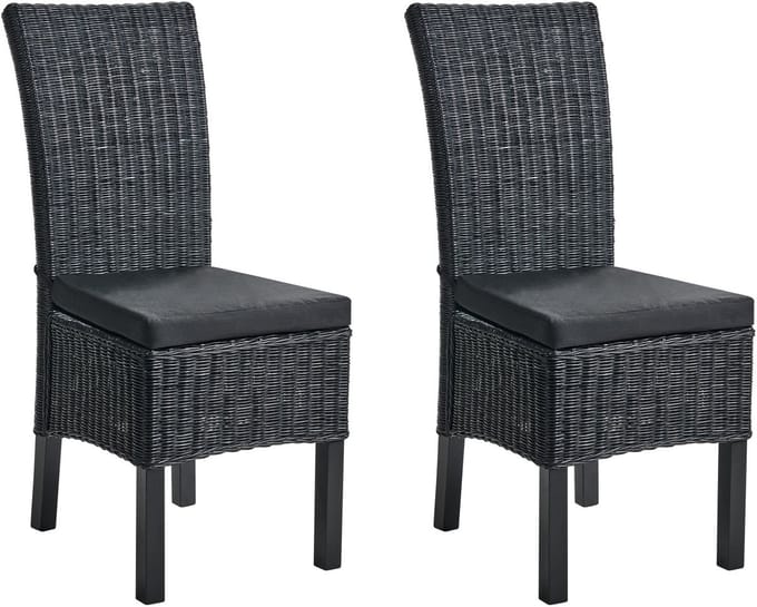 ANDES - Eetkamerstoel set van 2 - Zwart - Rotan