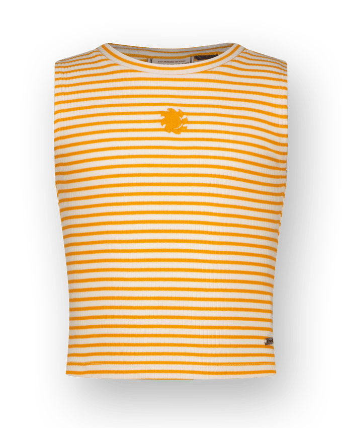 Top Icon-Crop stripe rib