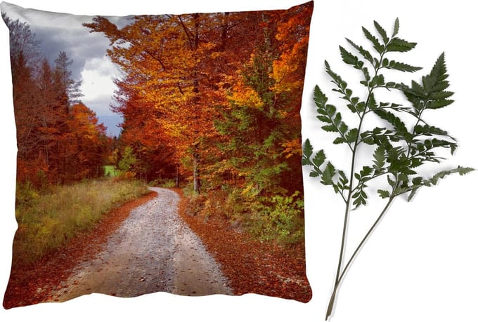Sierkussens - Kussentjes Woonkamer - 60x60 cm - Herfst - Herfstbladeren - Pad - Bos