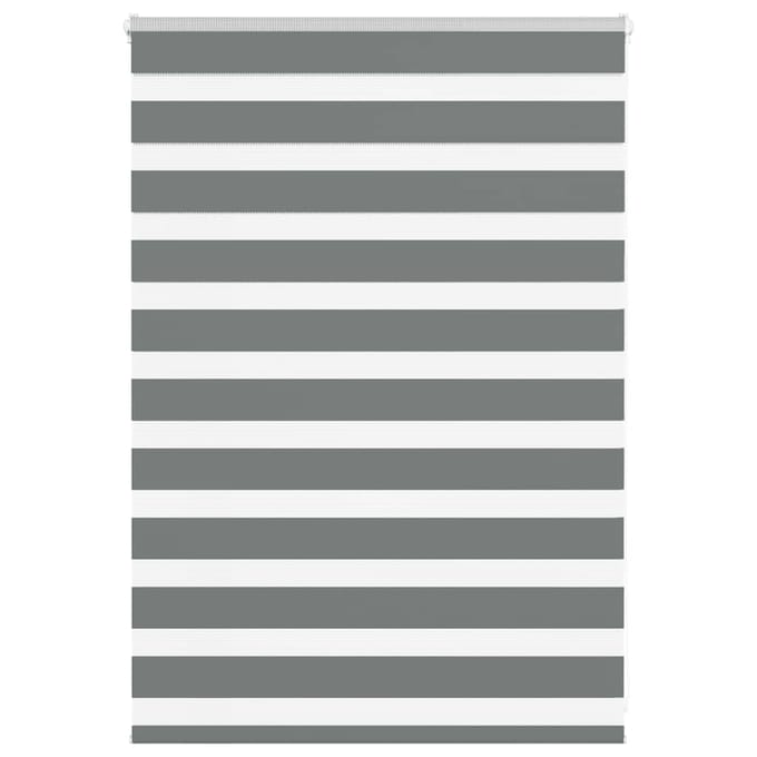 vidaXL - Zebra - rolgordijn - 105x100 - cm - stofbreedte - 100,9 - cm - donkergrijs