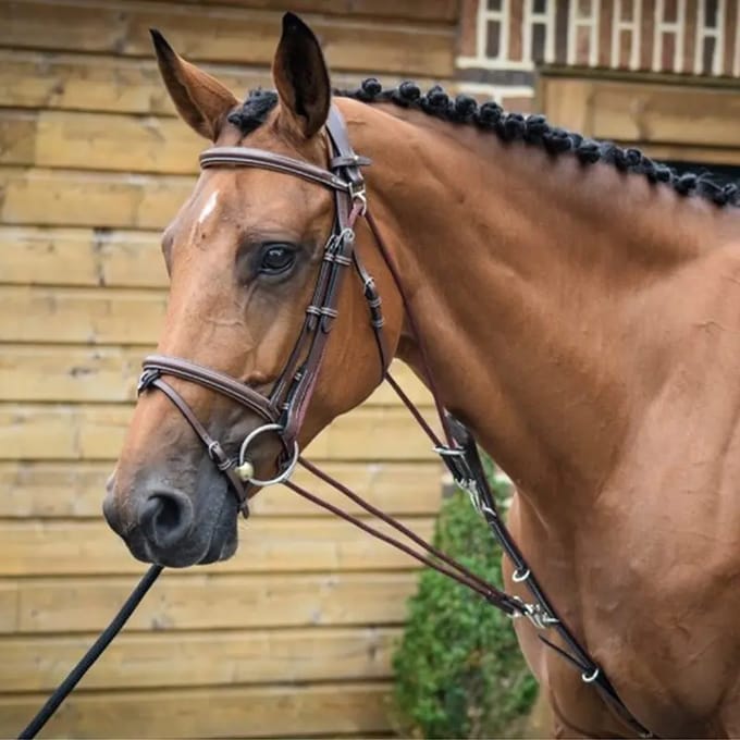 Gogue voor paard Jump'In One