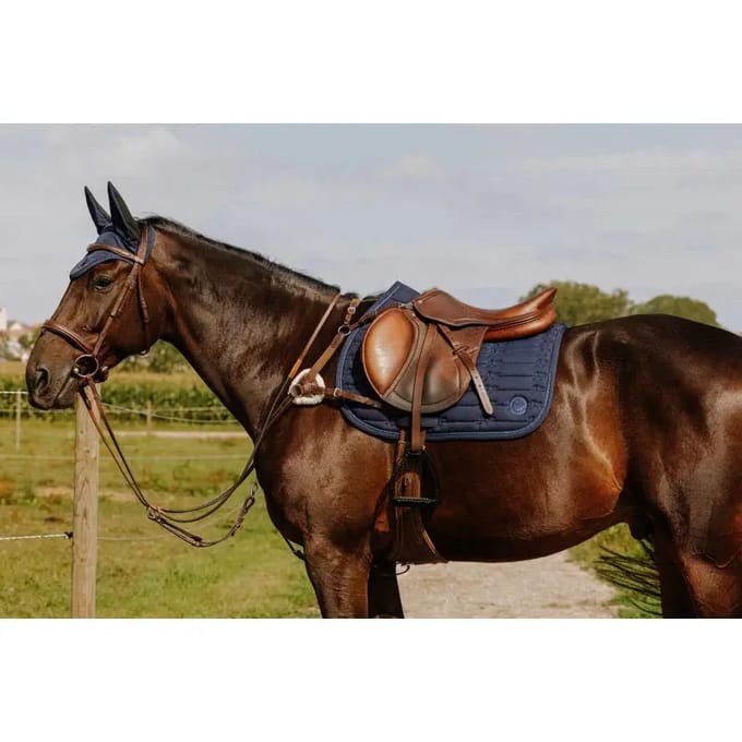 5-punts jachthalsband voor paarden Norton Pro