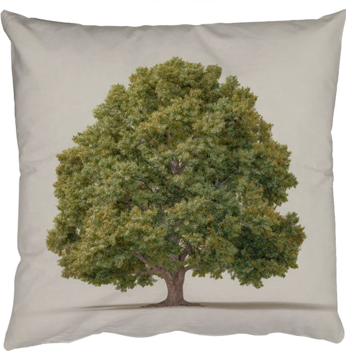 Sierkussens - Kussentjes Woonkamer - 60x60 cm - Eikenboom - Groen - Lichte achtergrond