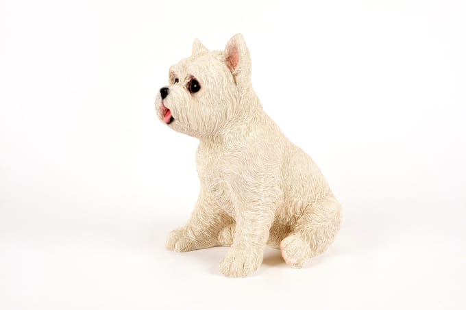 zittende pup West Highland Terrier