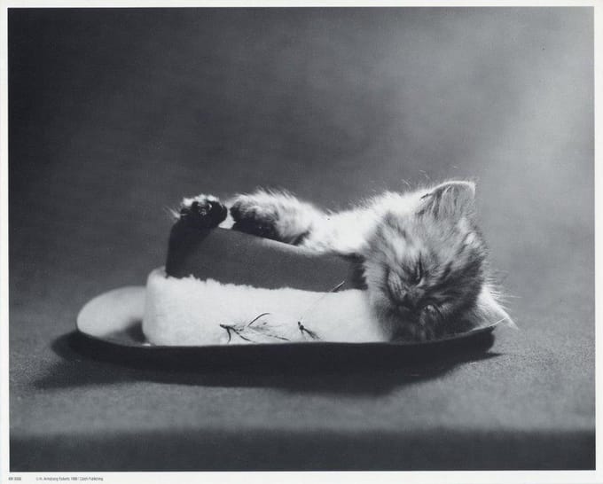 Mini zwart-wit poster - Little Kitten - H. Armstrong Roberts - 24x30 cm