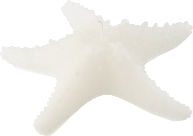 J-Line kaars Zeester - wit - large - 3U