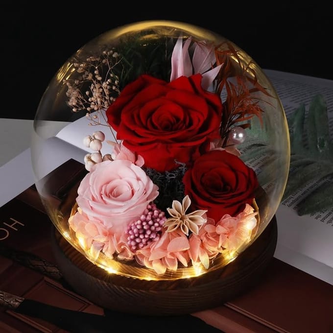 Dailygoody - Eeuwige roos - Glazen koepel - cadeau - Rode kleur