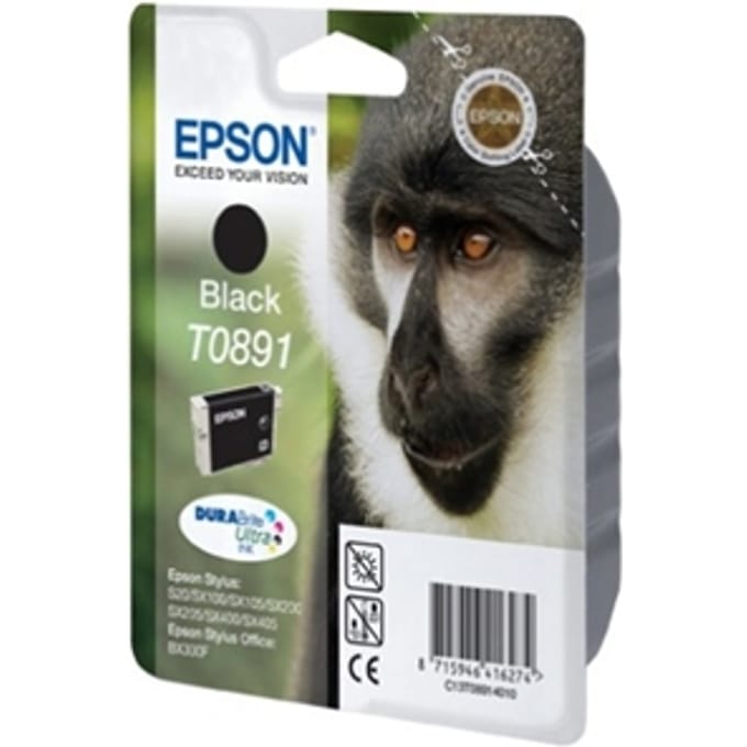 Epson Inktcartridge T089 (C13T08914010) Zwart