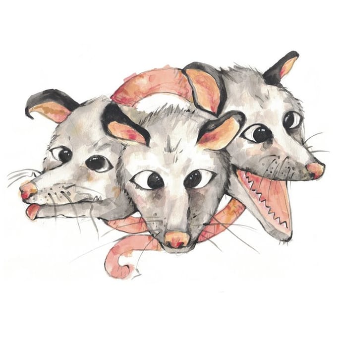 Opossums - Opossums (LP)