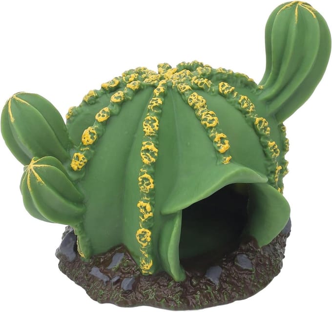 Cactushuis Model - Speelgoed Cactus Decoratie Cactus - Educatief Spelen - Realistisch PVC Beeldje