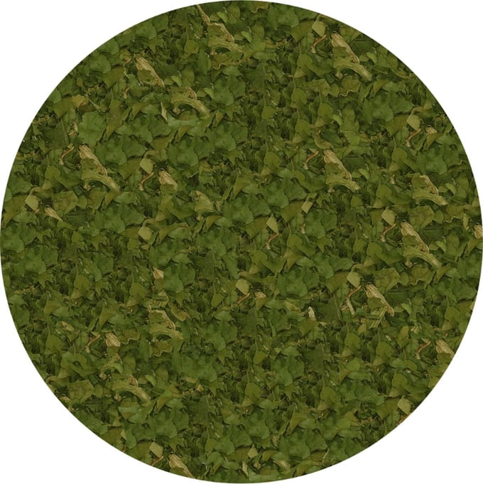 Spinazie Vlokken 4-6 mm - 100 gram - Holyflavours