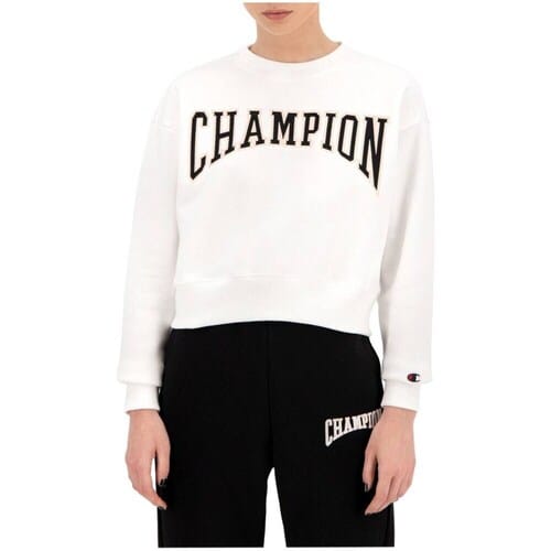 Sweaters Champion Collegiate Logo Blend Cropped