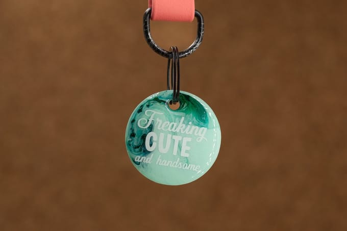 Crackerjack hondenpenning - Fun tag - Freaking cute & handsome - slijtvast - moddervast - uniek - leuk als cadeau