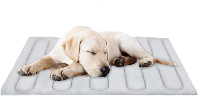 Koelmat Hond - Honden koelkussen - Warmte verlichten - Directe koeling - L - Blauw