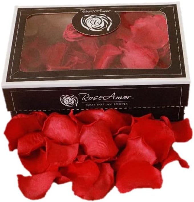 Echte Rozenblaadjes - Gedroogde Bloemblaadjes - Decoratie Bruiloft - Lang Houdbaar - 100 Gram - Rood
