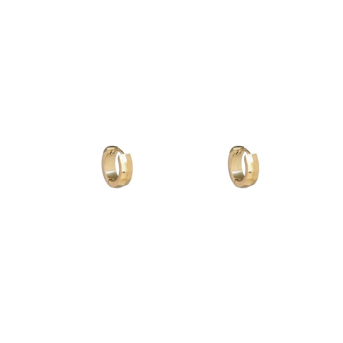 Go Dutch Label Oorringen Double Facet Goud