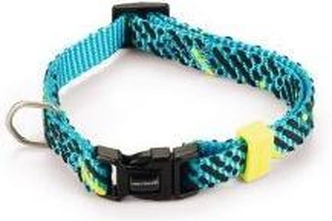 Beeztees Memphis Halsband Hond Nylon - Licht Blauw 20-30cm