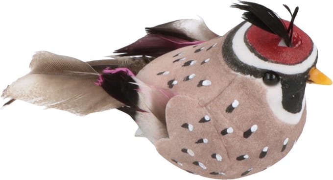 SET 10 BIRDS 8,5-13CM