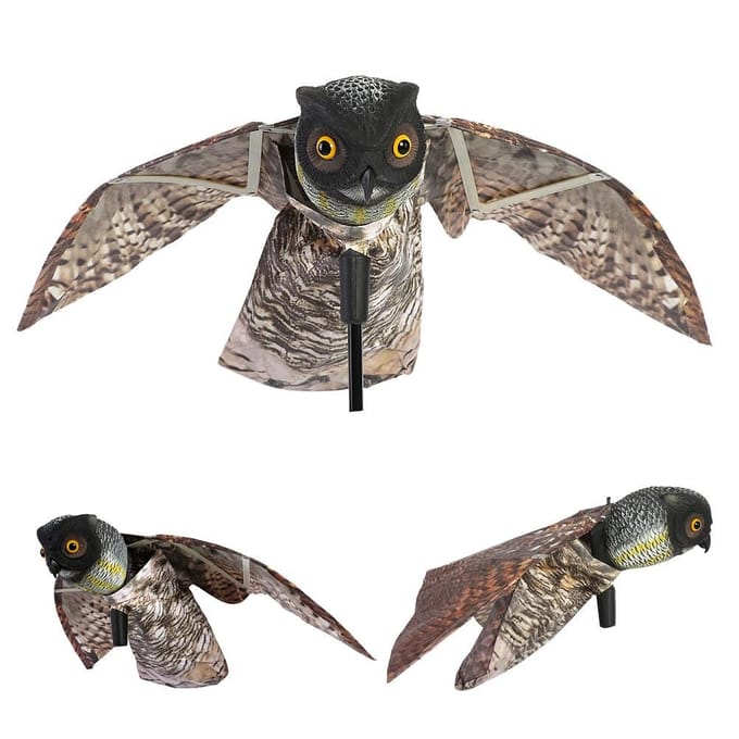 Prowler Uil met Bewegende Vleugel Tuinvogelverschrikker Roofdier Lokvogel Ongedierte gray