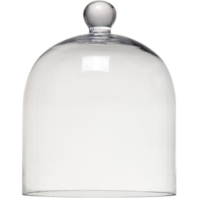 Ted Sparks Glass Dome Accessoires 270 gr
