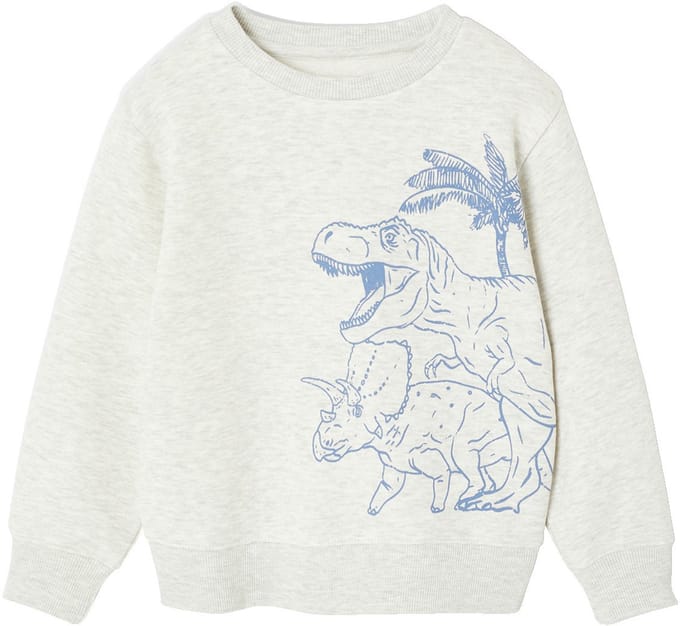 Vertbaudet Fantasie sweater voor jongens