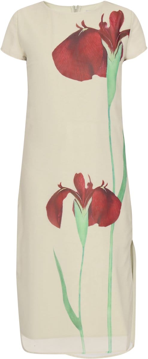 usha Dress