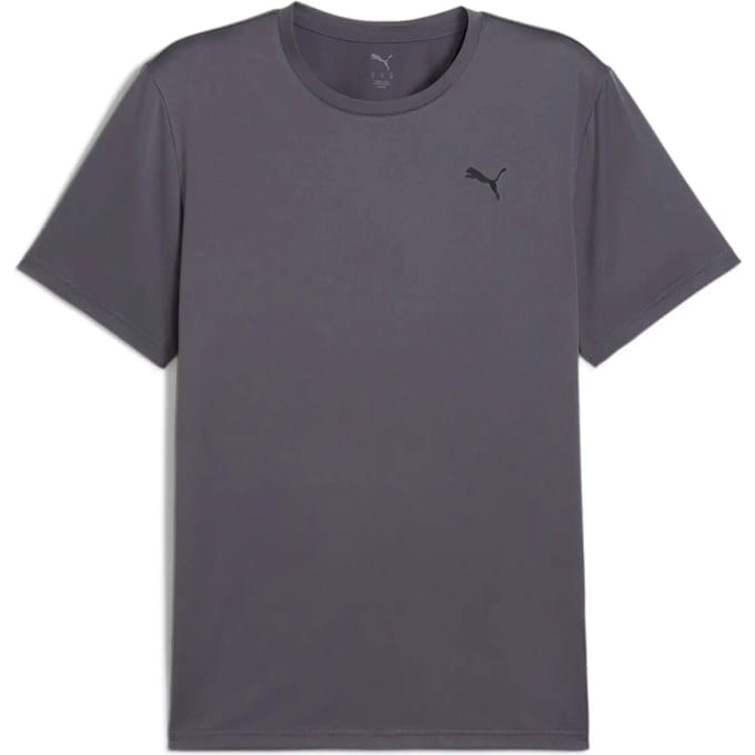 PUMA M TAD ESSENTIALS SOLID CAT TEE (LC small cat) Heren sportshirt - Galactic Gray