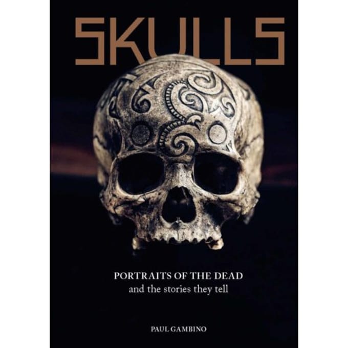 Skulls - Paul Gambino