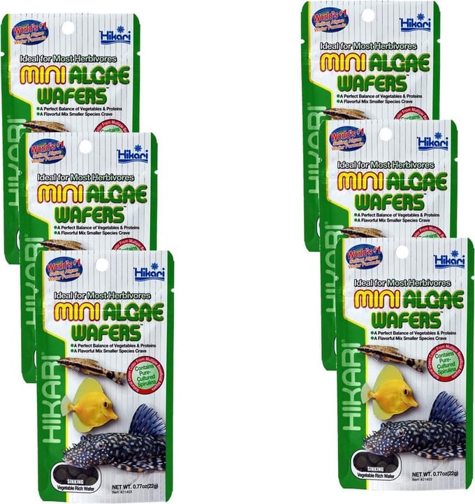 Hikari Mini Algae Wafers - Vissenvoer - 6 x 22 g