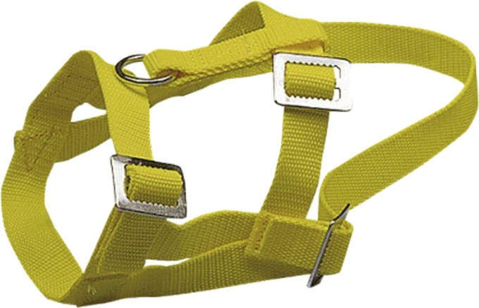 Schapen/geiten halster Nylon