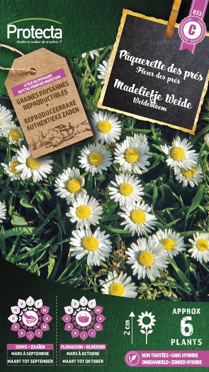 Protecta Bloemen zaden: Madeliefje Weide | Bellis perennis