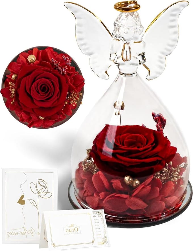 Geconserveerde Roos - Eeuwige Bloem - Cadeau Geven - Engel in Glas - Middelgroot - Rood