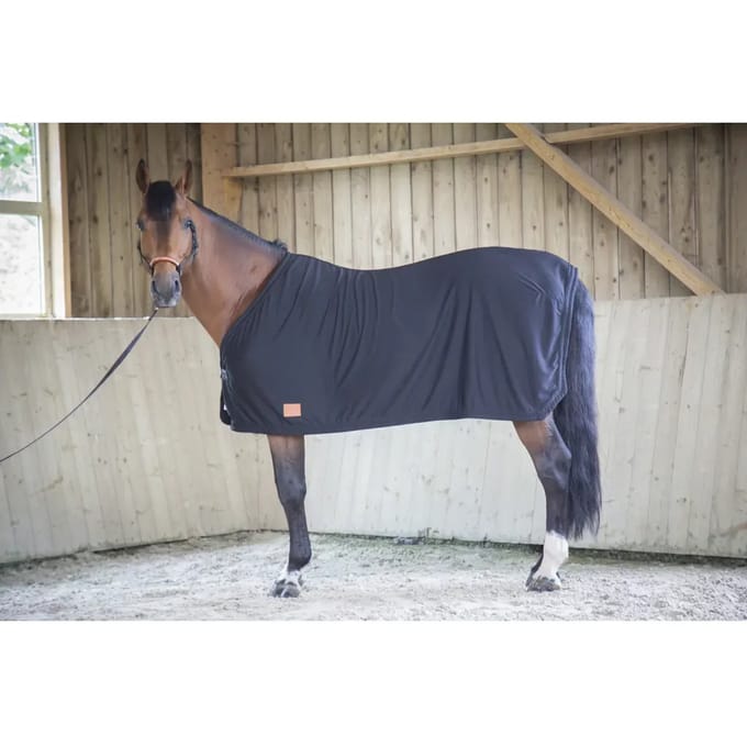 Paardenhemd drogen Paddock Sports
