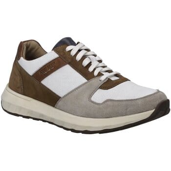 JOSEF SEIBEL Heren Sneaker Cameron 10 in veelkleurig