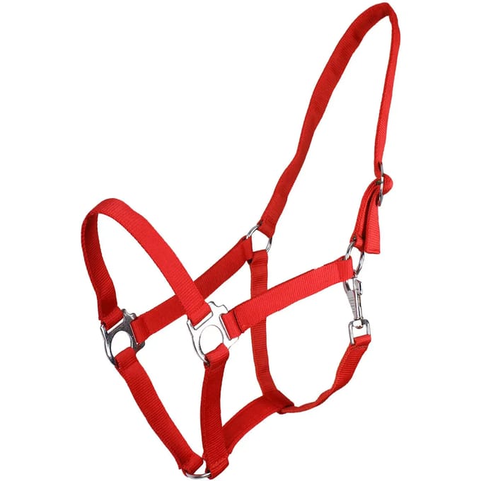Halsband voor paard met rits Q-essentials