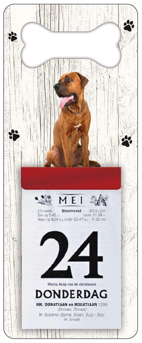 Scheurkalender 2027 Hond: Tosa