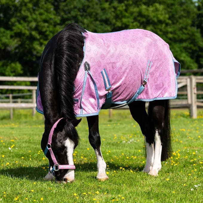 Paardenvliegdekje QHP Rosalynn