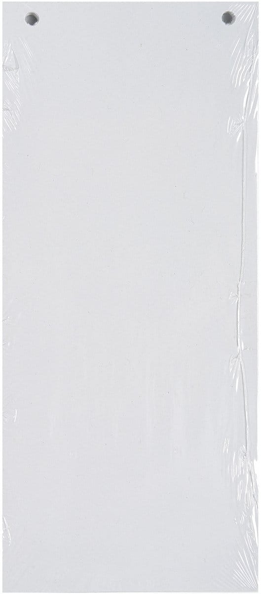 Exacompta 12x FOREVER® Pak van 100 horizontale tabstroken met perforatie 180g - 105x240mm - Wit - 13405B