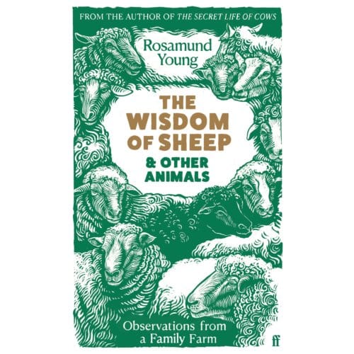The Wisdom Of Sheep & Other Animals - Rosamund Young